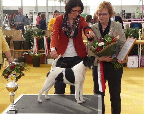 prada von der bismarckquelle